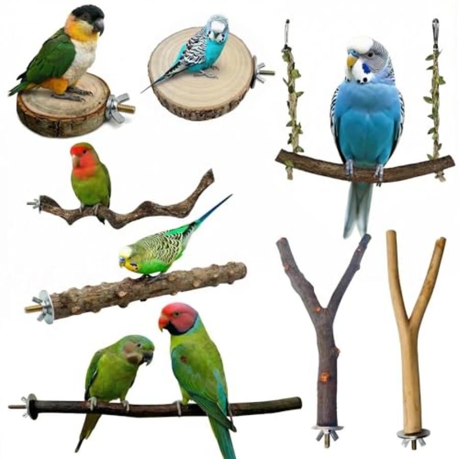 8PCS natural wood bird perches - Health & Wellness Services At Western University London Reviews recension och pris
