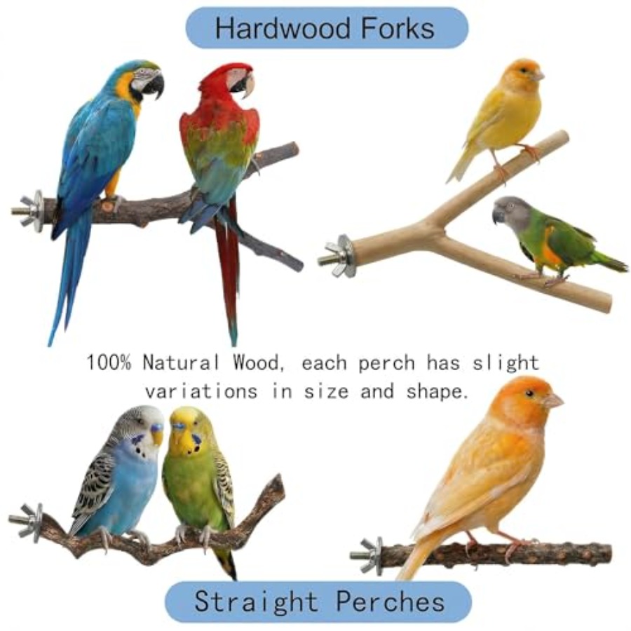 8PCS natural wood bird perches - Health & Wellness Services At Western University London Reviews recension och pris