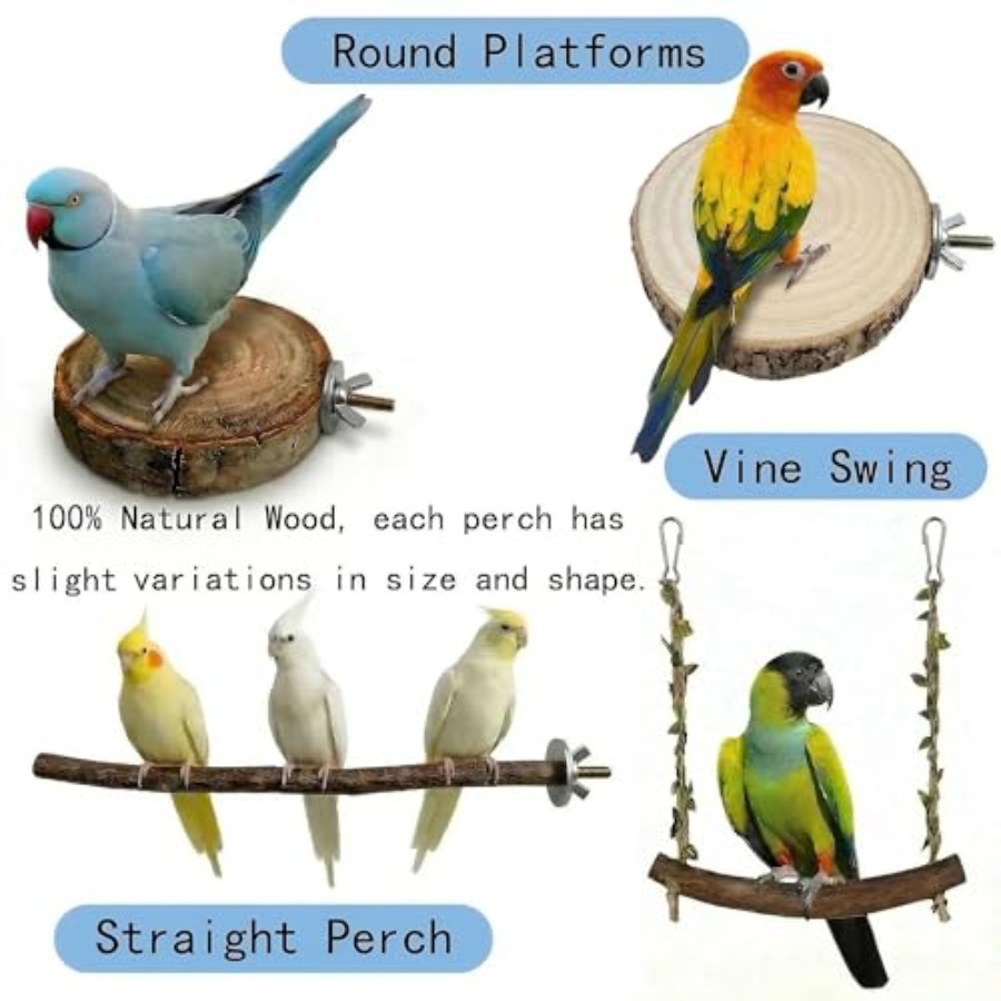 8PCS natural wood bird perches - Health & Wellness Services At Western University London Reviews recension och pris